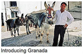 Andalusia, Andalucia, donkeys, Albaicin, Granada